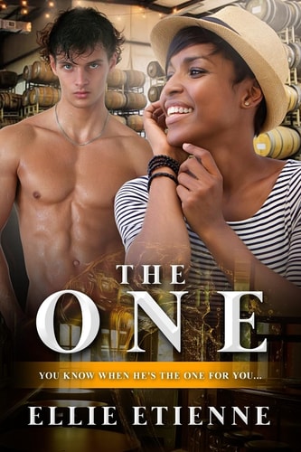 The One A Billionaire BWWM Love Story For Adults