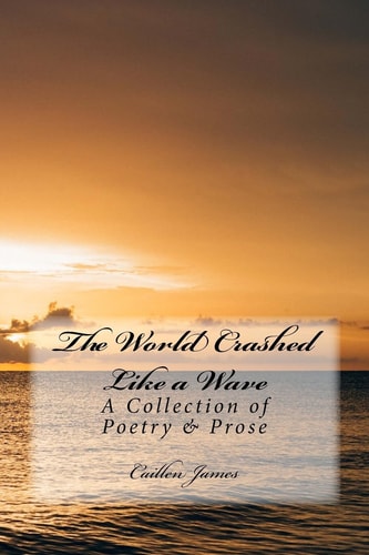 The World Crashed Like a Wave A Book of Poetry and Prose