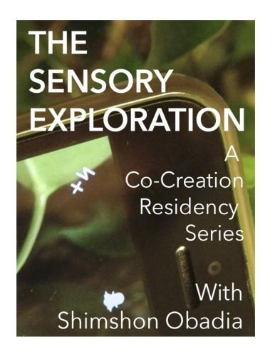 The Sensory Exploration A Co-Creation Residency Series Created and Led by Interdisciplinary Eco Artist Shimshon Obadia