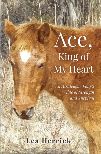 Ace, King of My Heart An Assateague Pony's Tale of Strength and Survival