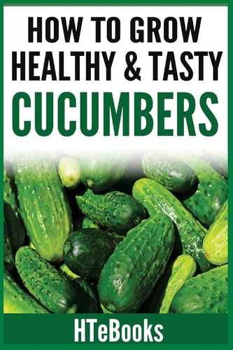How to Grow Healthy and Tasty Cucumbers Quick Start Guide