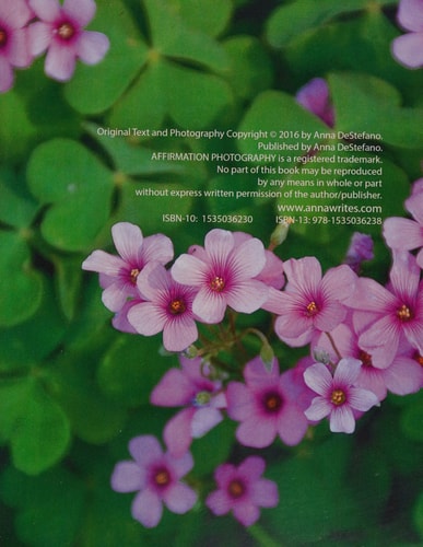Meditations of Hope Affirmation Photography (a Seeker's Companion)