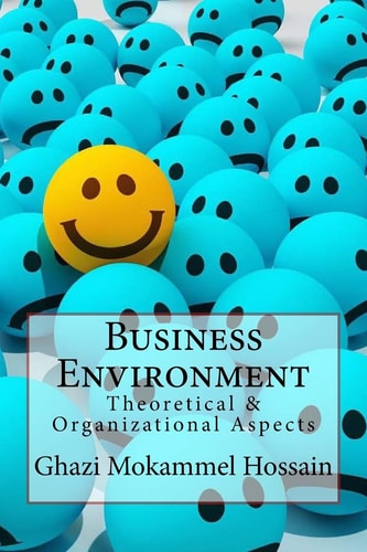 Business Environment Theoretical and Organizational Aspects