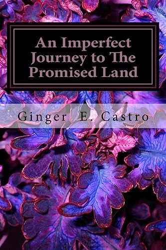 An Imperfect Journey to The Promised Land