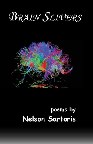 Brain Slivers Poems by Nelson Sartoris