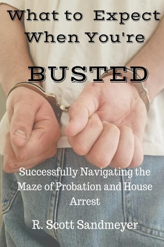 What To Expect When You're Busted Successfully Navigating the Maze of Probation and House Arrest