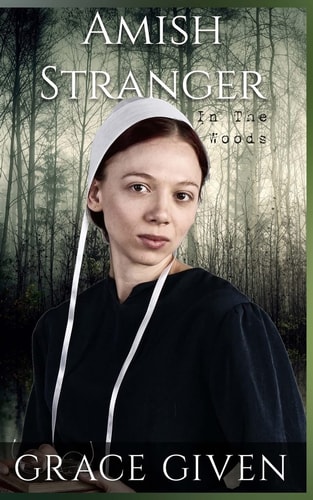 Amish Stranger in the Woods Amish Mystery Romance