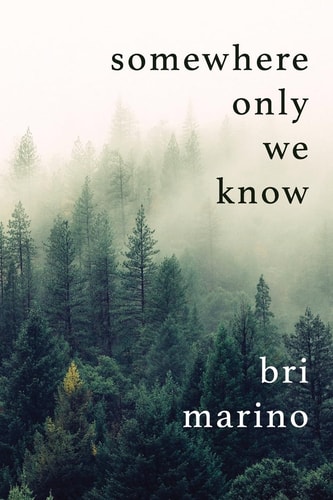 Somewhere Only We Know
