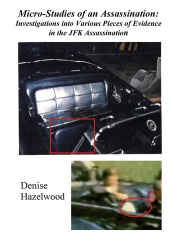 Micro-Studies of an Assassination Investigations Into Various Pieces of Evidence in the JFK Assassination