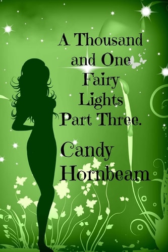 A Thousand and One Fairy Lights Part Three