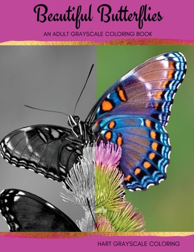 Beautiful Butterflies An Adult Grayscale Coloring Book