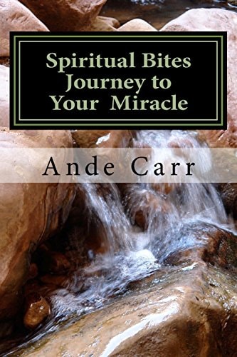 Spiritual Bites Journey to Your Miracle