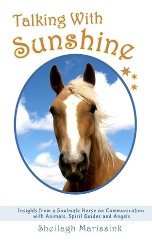 Talking With Sunshine Insights from a Soulmate Horse on Communication with Animals, Spirit Guides and Angels
