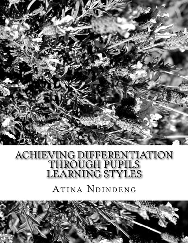 Achieving Differentiation Through Pupils Learning Styles Research Paper