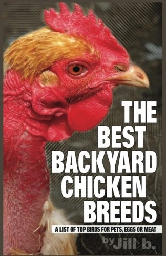 The Best Backyard Chicken Breeds (B&W Edition) A List of Top Birds For Pets, Eggs Or Meat