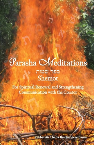 Parasha Meditations: Shemot - Internalizing Healing Transformation For Spiritual Renewal and Strengthening Communication with the Creator