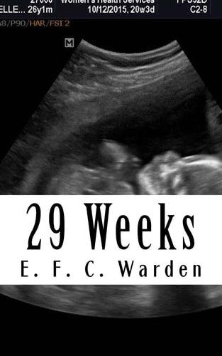 29 Weeks