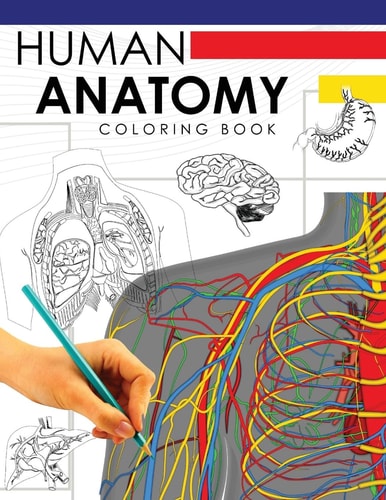 Human Anatomy Coloring Book A Complete Study Guide (5th Edition)