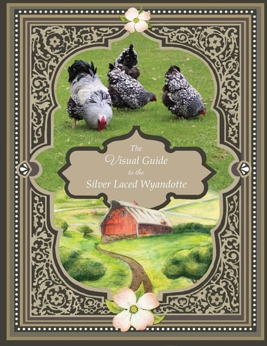 The Visual Guide to the Silver Laced Wyandotte