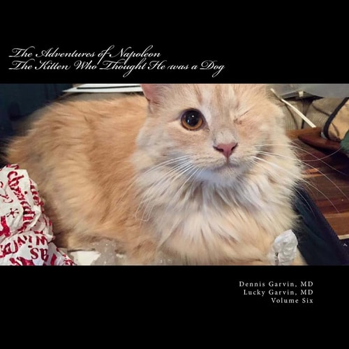 The Adventures of Napoleon The Kitten Who Thought He Was a Dog