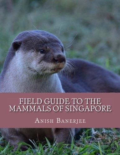 A Field Guide to the Mammals in Singapore