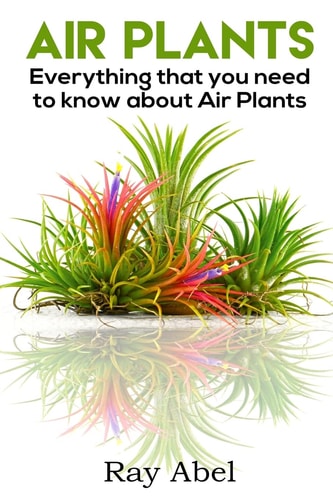 Air Plants All You Need to Know about Air Plants in a Single Book!