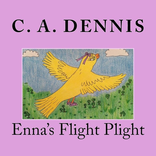 Enna's Flight Plight