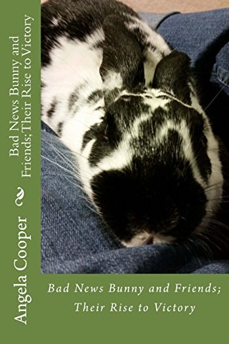 Bad News Bunny and Friends; Their Rise to Victory