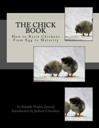 The Chick Book How to Raise Chickens From Egg to Maturity