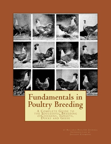 Fundamentals in Poultry Breeding A Complete Guide to the Successful Breeding OfChickens, Turkeys, Ducks and Geese