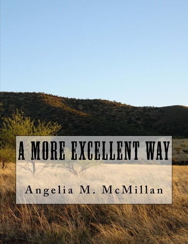"A More Excellent Way"