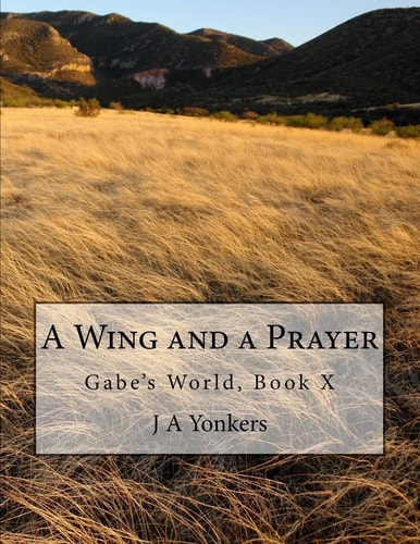 A Wing and a Prayer Gabe's World, Book X