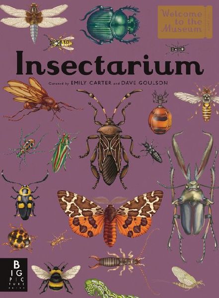 Insectarium: Welcome to the Museum (an Illustrated Junior Entomology Guide to Wild Bug Species, Biodiversity, and Nature Conservation for Kids Ages 8-12)