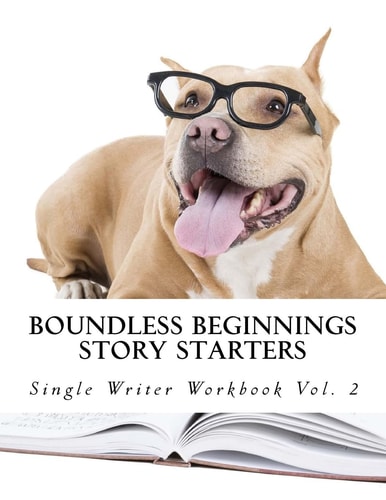 Story Starters Single Writer Workbook