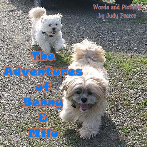 The Adventures of Benny and Milo Milo's Journey Across the Rainbow Bridge