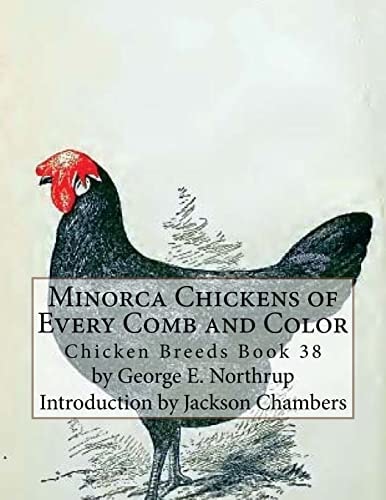 Minorca Chickens of Every Comb and Color Chicken Breeds Book 38