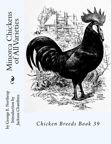 Minorca Chickens of All Varieties Chicken Breeds Book 39