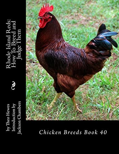 Rhode Island Reds How To Breed and Judge Them: Chicken Breeds Book 40