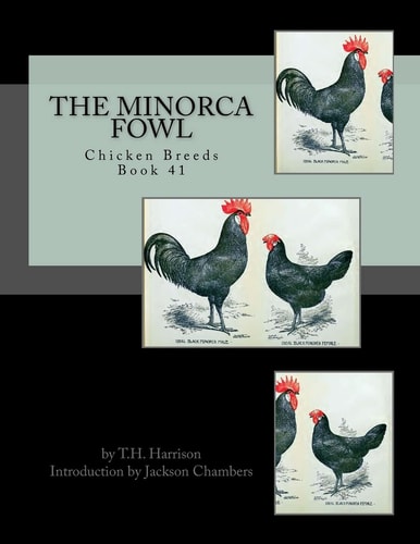 The Minorca Fowl Chicken Breeds Book 41