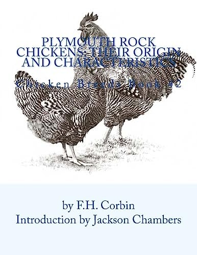 Plymouth Rock Chickens Their Origin and Characteristics: Chicken Breeds Book 42