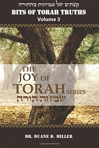 Bits of Torah Truths, Volume 3, the Joy of Torah