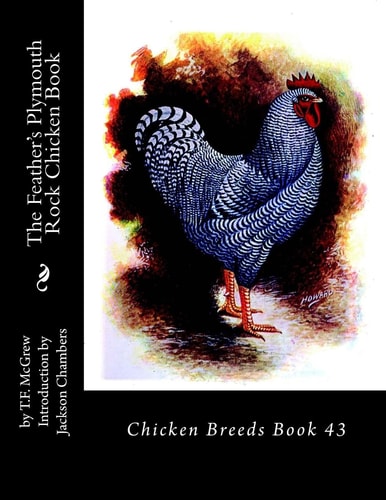 The Feather's Plymouth Rock Chicken Book Chicken Breeds Book 43