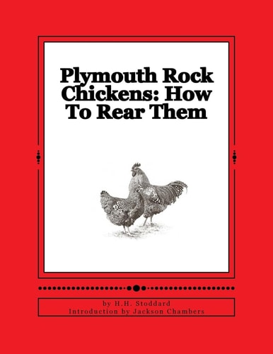 Plymouth Rock Chickens How To Rear Them: Chicken Breeds Book 45