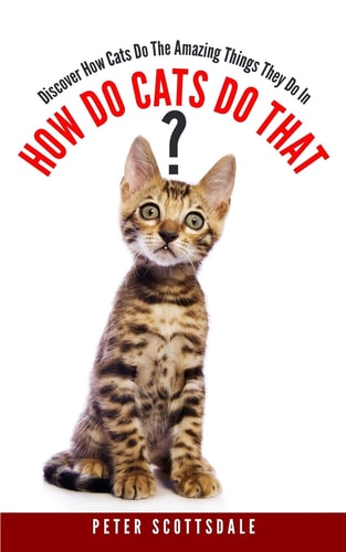 How Do Cats Do That? Discover How Cats Do The Amazing Things They Do