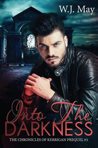 Into the Darkness Paranormal Fantasy Romance