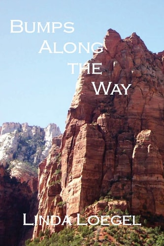 Bumps Along the Way An Unforgettable Cross-Country Road Trip