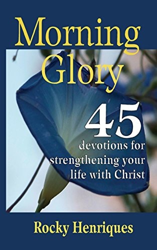 Morning Glory 45 Devotions to Strengthen Your Life in Christ