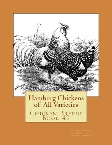 Hamburg Chickens of All Varieties Chicken Breeds Book 49