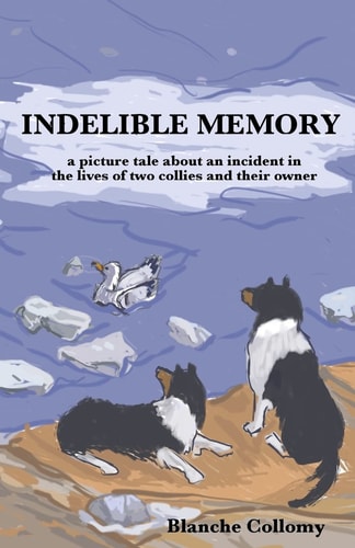 Indelible Memory (a Picture Tale about an Incident in the Lives of Two Collies and Their Owner)