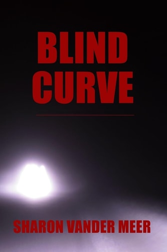 Blind Curve A Novel